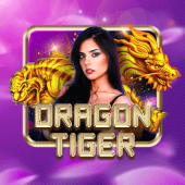 Dragon Tiger on 789 bet bingo