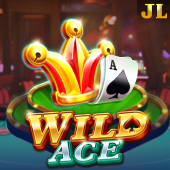 Wild Ace 789 bet bingo slot